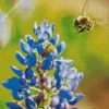 Bluebonnet And Bees Diamond Painting