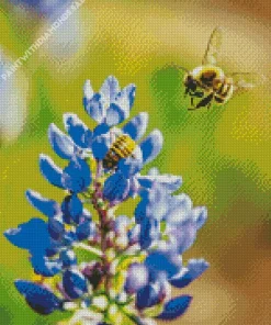 Bluebonnet And Bees Diamond Painting