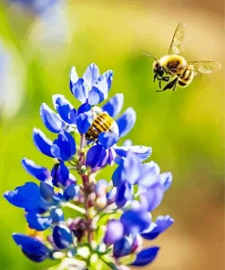 Bluebonnet And Bees Diamond Painting