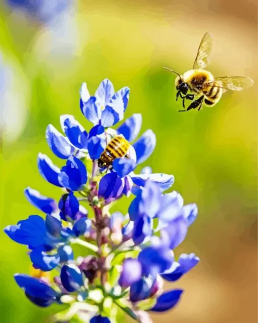 Bluebonnet And Bees Diamond Painting