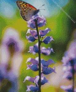 Bluebonnet And Butterfly Diamond Painting