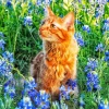 Bluebonnet Field And Cat Diamond Painting