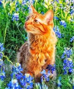 Bluebonnet Field And Cat Diamond Painting