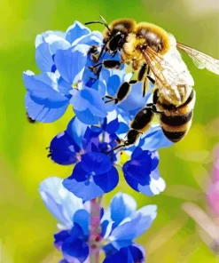 Bluebonnet Flower And Honey Bee Diamond Painting