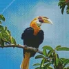 Blyths Hornbill Diamond Painting