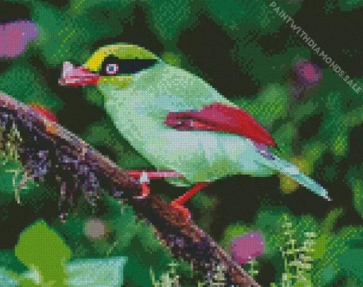 Bornean Green Magpie Bird Diamond Painting