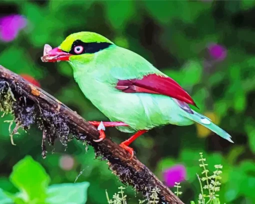 Bornean Green Magpie Bird Diamond Painting