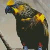 Brown Lory Bird Diamond Painting