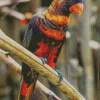 Brown Lory Diamond Painting