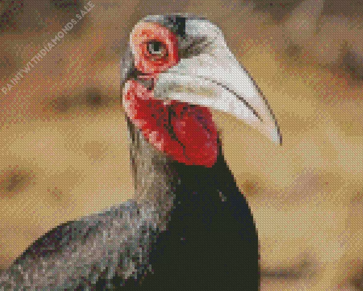 Bucorvus brailloni Diamond Dotz Bucorvus Brailloni Diamond Painting