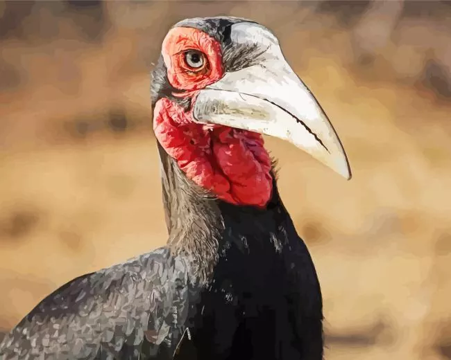 Bucorvus brailloni Diamond With Numbers Bucorvus Brailloni Diamond Painting