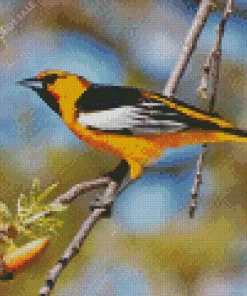 Bullocks Oriole Diamond Painting