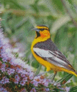 Bullocks Oriole And Flowers Diamond Painting