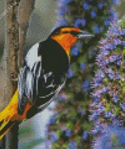 Bullocks Oriole And Purple Plant Diamond Painting