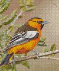 Bullocks Oriole Bird Diamond Painting