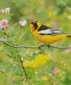 Bullocks Oriole On A Wire Diamond Painting