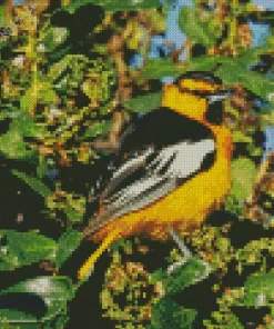 Bullocks Oriole With Green Leaves Diamond Painting