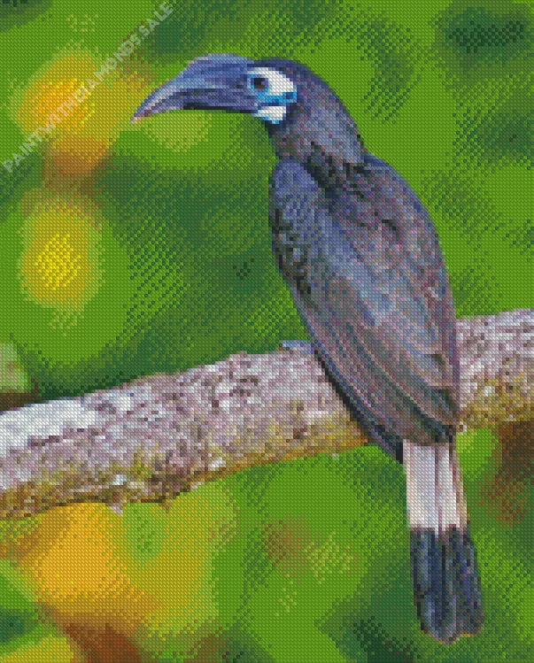 Bushy crested hornbill Diamond Dotz Bushy Crested Hornbill Diamond Painting