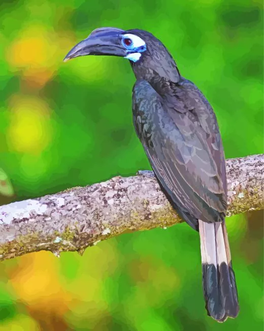 Bushy crested hornbill Diamond With Numbers Bushy Crested Hornbill Diamond Painting