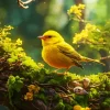 Canary Bird Diamond Painting