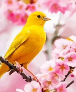 Canary Bird And Cherry Blossoms Diamond Painting