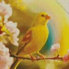 Canary Bird In Sunlight Diamond Painting