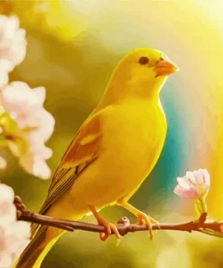 Canary Bird In Sunlight Diamond Painting