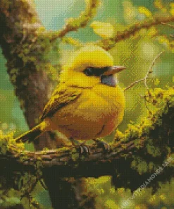 Canary Bird With Black Eyes Diamond Painting