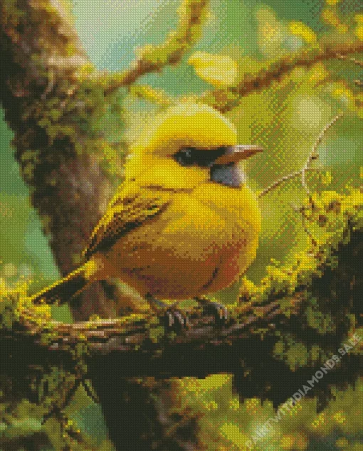 Canary Bird With Black Eyes Diamond Painting