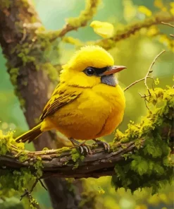 Canary Bird With Black Eyes Diamond Painting