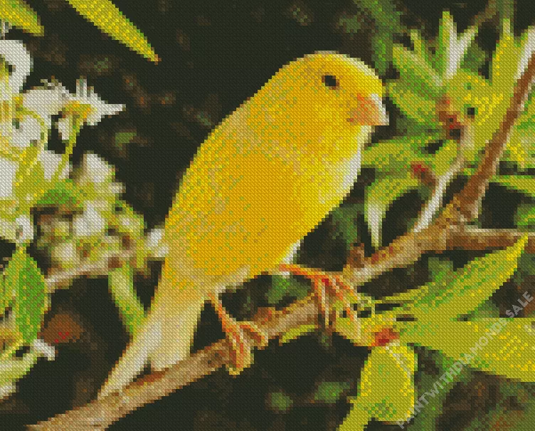 Canary on pear branch Diamond Dotz Canary On Pear Branch Diamond Painting