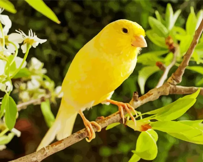 Canary on pear branch Diamond Paints Canary On Pear Branch Diamond Painting