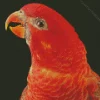 Cardinal Lory Diamond Painting