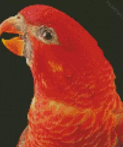 Cardinal Lory Diamond Painting