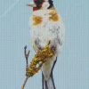 Carduelis Bird Diamond Painting