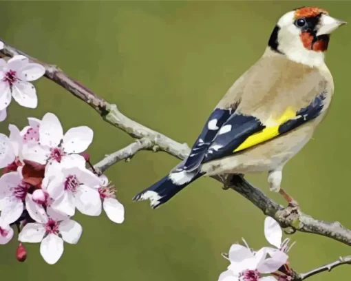 Carduelis Bird And Cherry Blossoms Diamond Painting