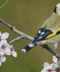 Carduelis Bird And Cherry Blossoms Diamond Painting