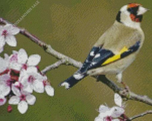 Carduelis Bird And Cherry Blossoms Diamond Painting