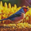 Carduelis Bird And Corn Seeds Diamond Painting