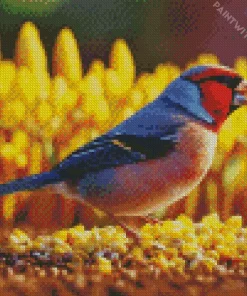 Carduelis Bird And Corn Seeds Diamond Painting