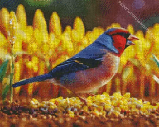 Carduelis Bird And Corn Seeds Diamond Painting