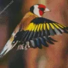 Carduelis Bird Flying Diamond Painting