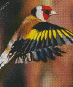 Carduelis Bird Flying Diamond Painting