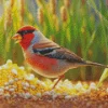 Carduelis Bird In A Corn Field Diamond Painting
