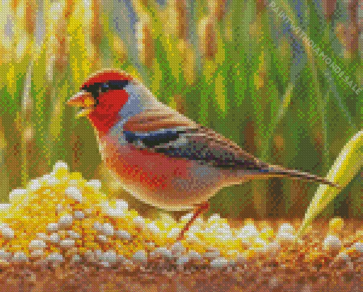 Carduelis Bird in a corn field Diamond Paintings Carduelis Bird In A Corn Field Diamond Painting