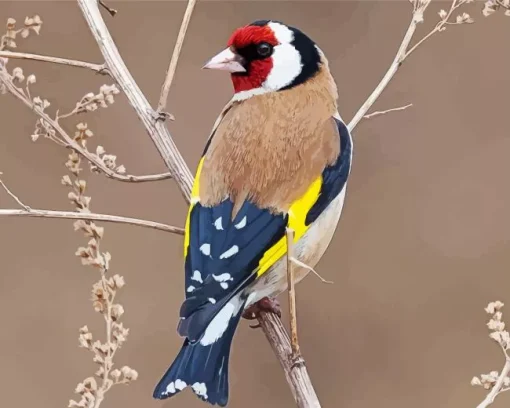 Carduelis Bird In A Tree Branch Diamond Painting