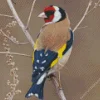 Carduelis Bird In A Tree Branch Diamond Painting