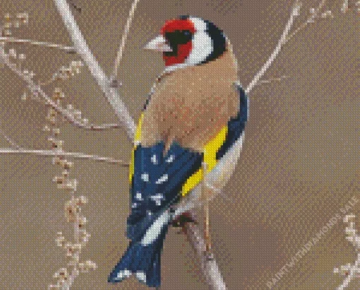 Carduelis Bird In A Tree Branch Diamond Painting