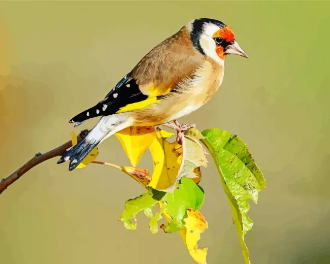Carduelis Bird on a branch Diamond Dotz Carduelis Bird On A Branch Diamond Painting