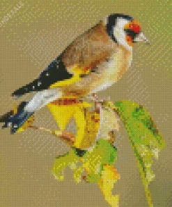 Carduelis Bird On A Branch Diamond Painting